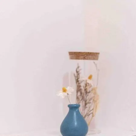 Appartement T2 La Perle Bleue *